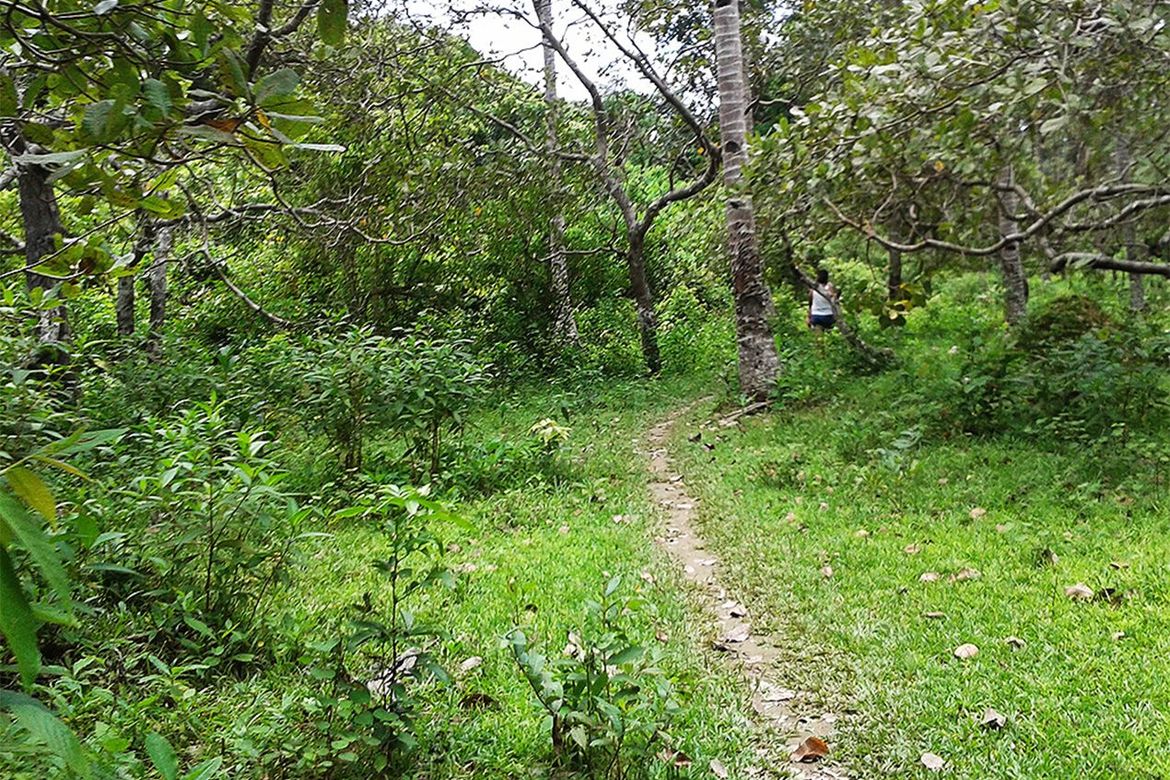 Land for Sale in Manlag, El Nido, Palawan – photo 8
