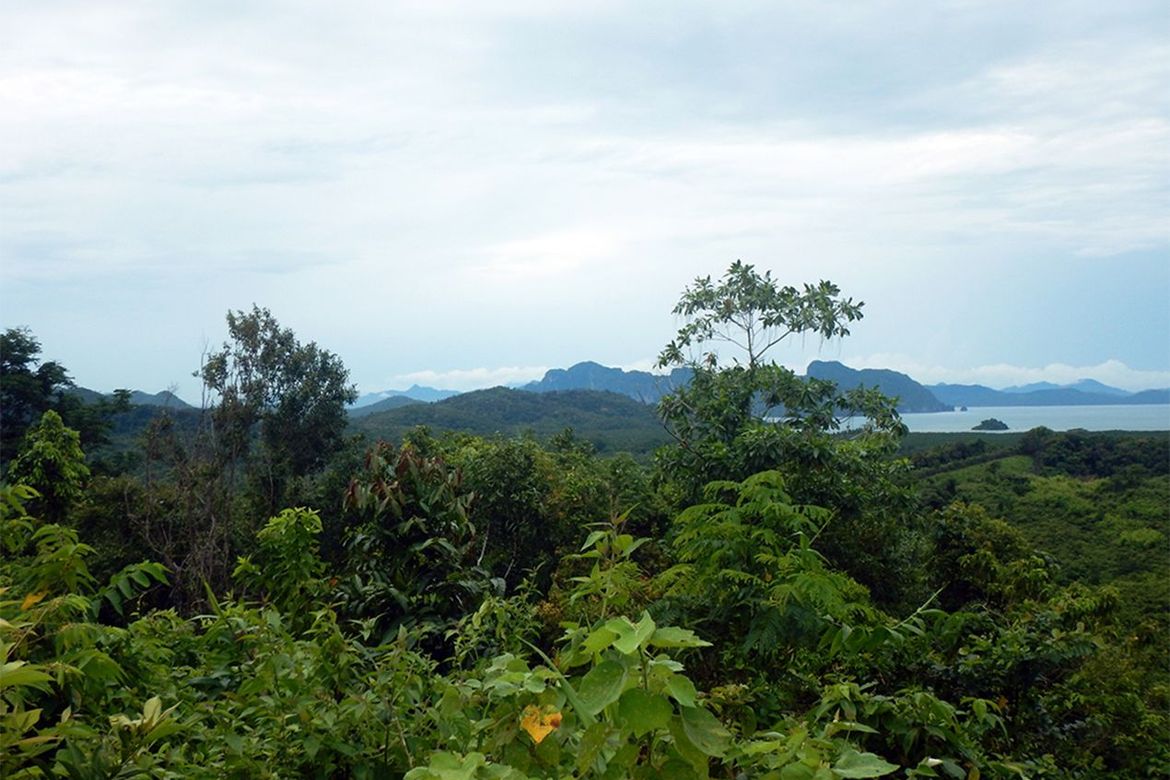 Land for Sale in Manlag, El Nido, Palawan – photo 8