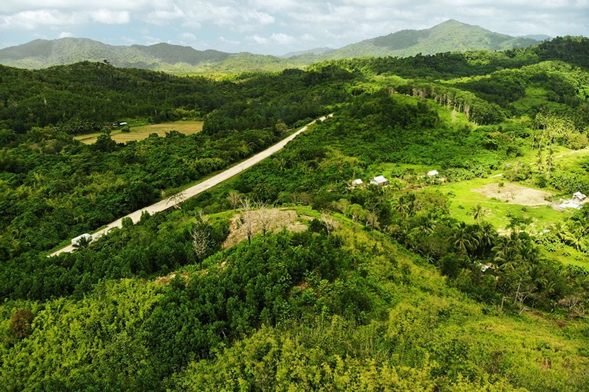 Land for Sale in Manlag, El Nido, Palawan – photo 2