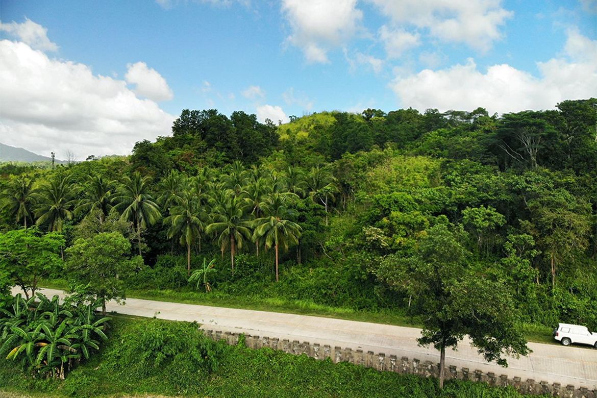 Land for Sale in Manlag, El Nido, Palawan – photo 6