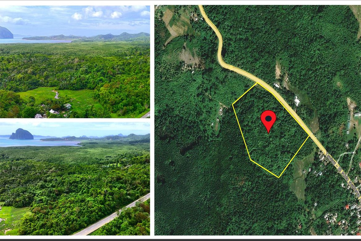 Land for Sale in Manlag, El Nido, Palawan