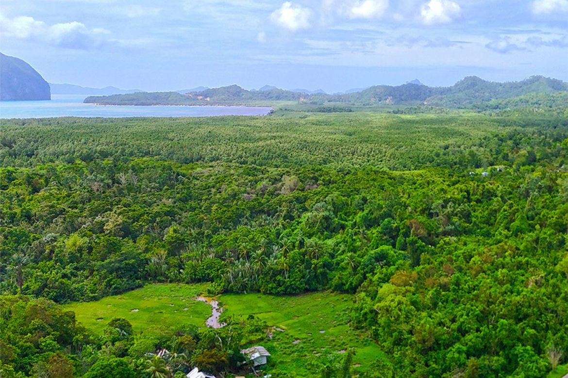 Land for Sale in Manlag, El Nido, Palawan – photo 2