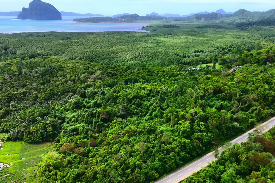 Land for Sale in Manlag, El Nido, Palawan – photo 3
