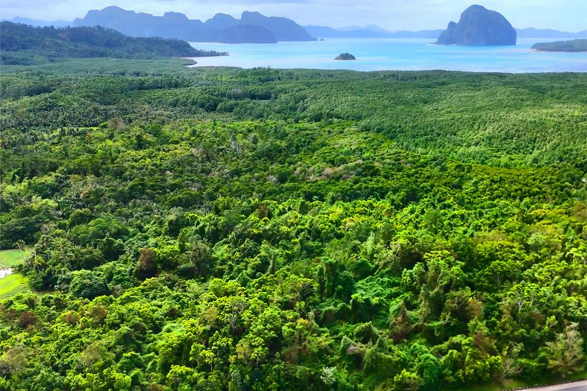 Land for Sale in Manlag, El Nido, Palawan – photo 4