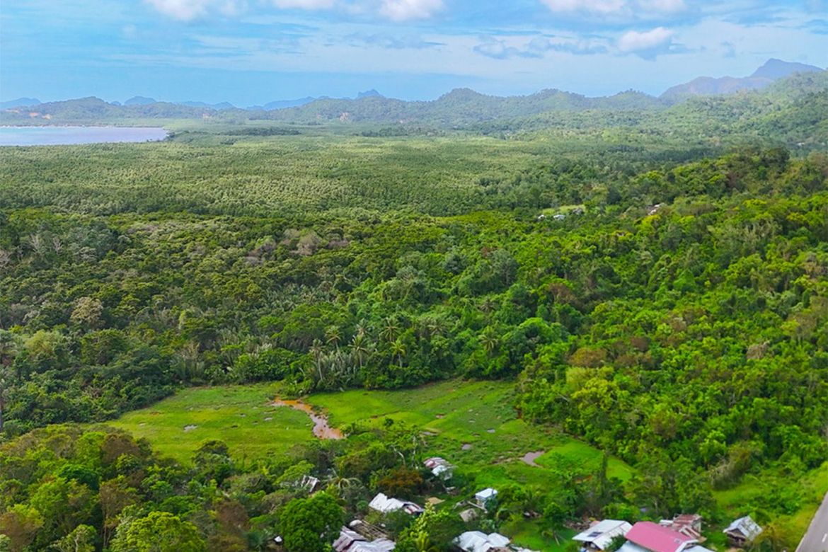 Land for Sale in Manlag, El Nido, Palawan – photo 5