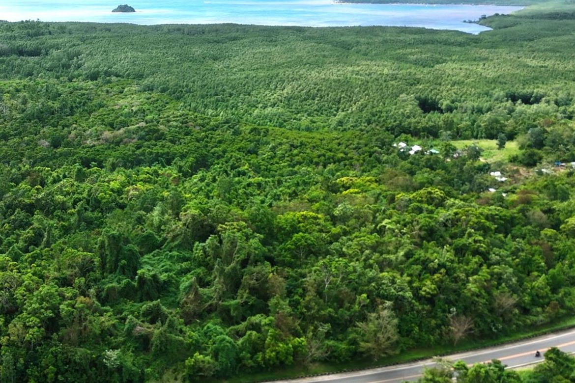 Land for Sale in Manlag, El Nido, Palawan – photo 7