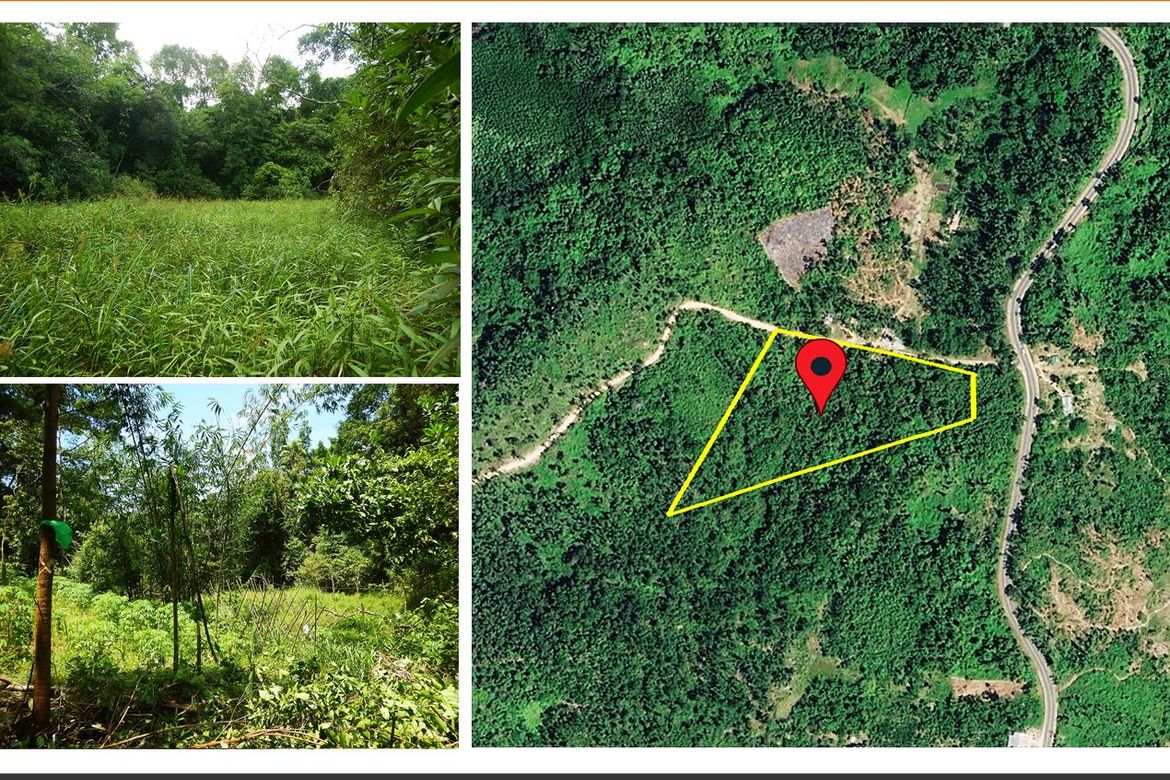 Land for Sale in Manlag, El Nido, Palawan