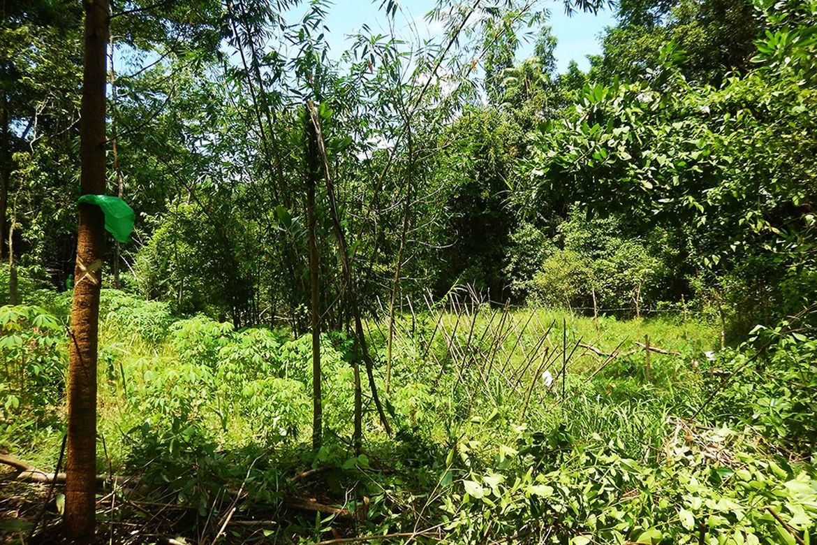 Land for Sale in Manlag, El Nido, Palawan – photo 3