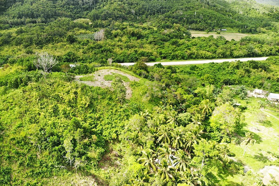 Land for Sale in Manlag, El Nido, Palawan – photo 4
