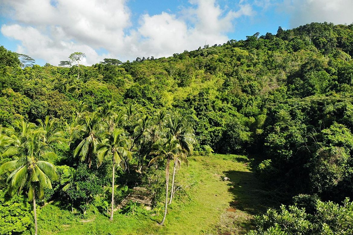 Land for Sale in Manlag, El Nido, Palawan – photo 5
