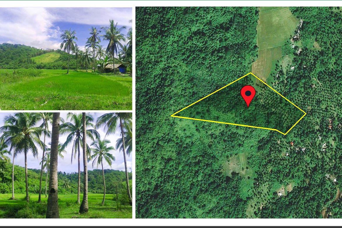 Land for Sale in Manlag, El Nido, Palawan