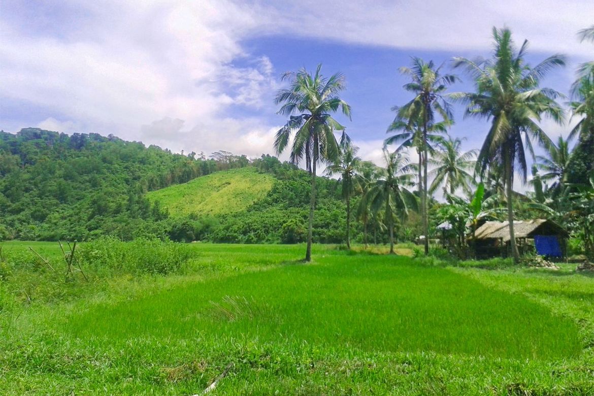 Land for Sale in Manlag, El Nido, Palawan – photo 2