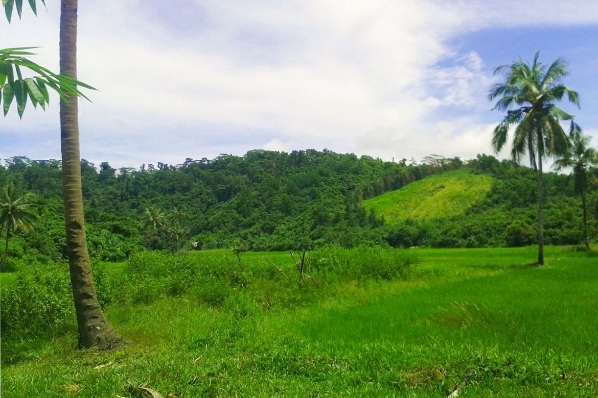 Land for Sale in Manlag, El Nido, Palawan – photo 5