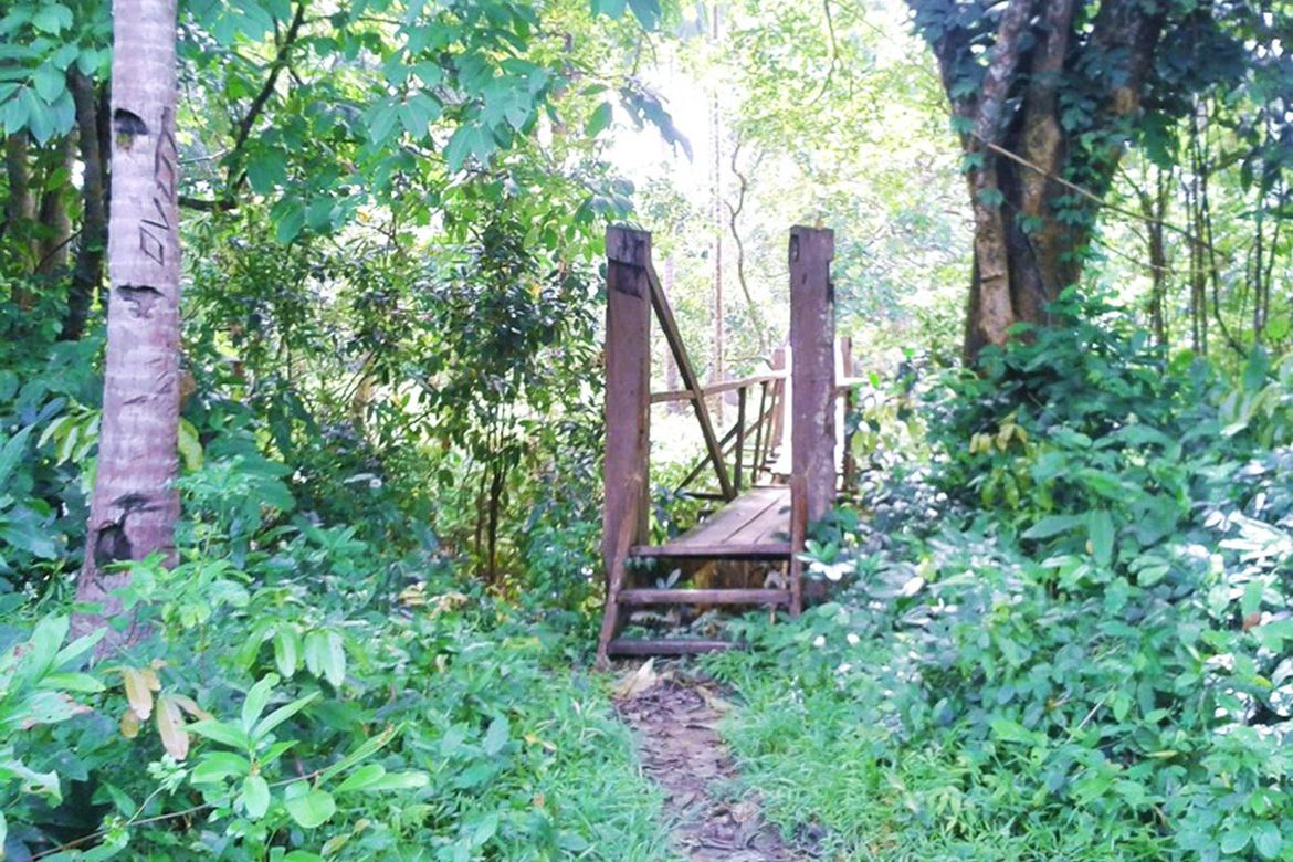 Land for Sale in Manlag, El Nido, Palawan – photo 8