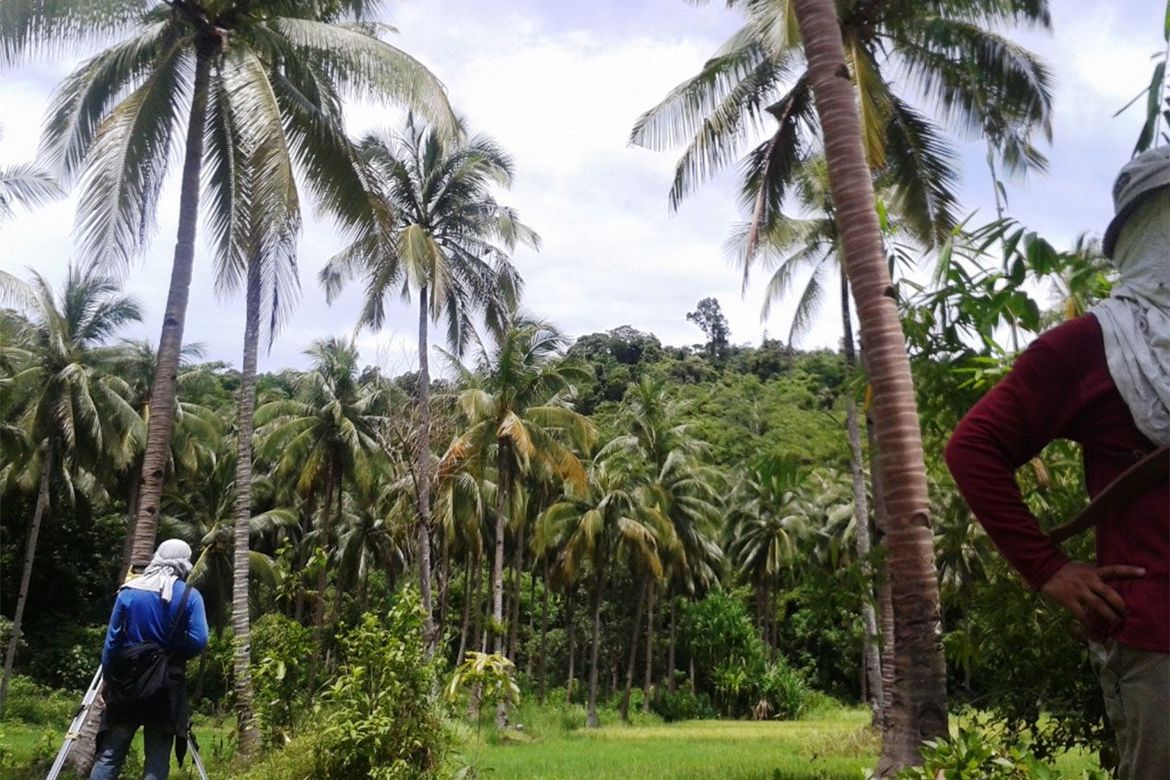 Land for Sale in Manlag, El Nido, Palawan – photo 7