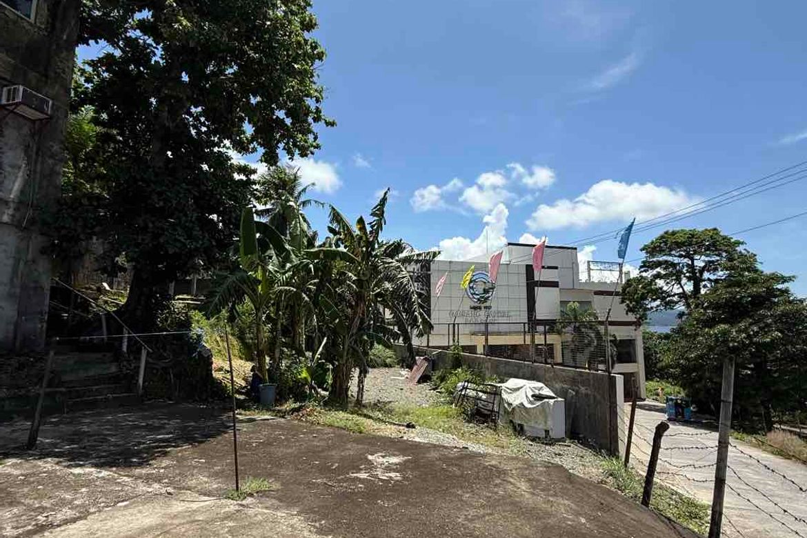 Land for Sale in Manoc-Manoc, Malay, Aklan – photo 3