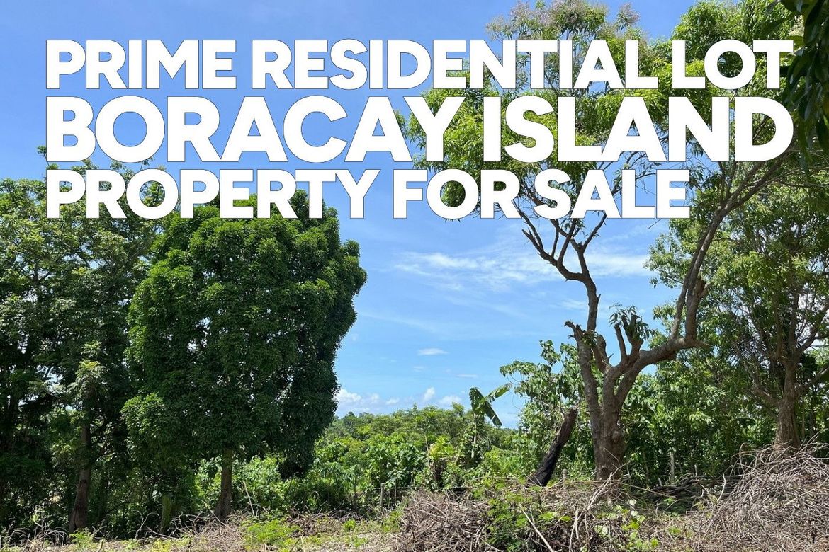 Land for Sale in Manoc-Manoc, Malay, Aklan