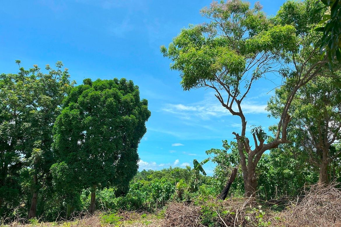 Land for Sale in Manoc-Manoc, Malay, Aklan – photo 2