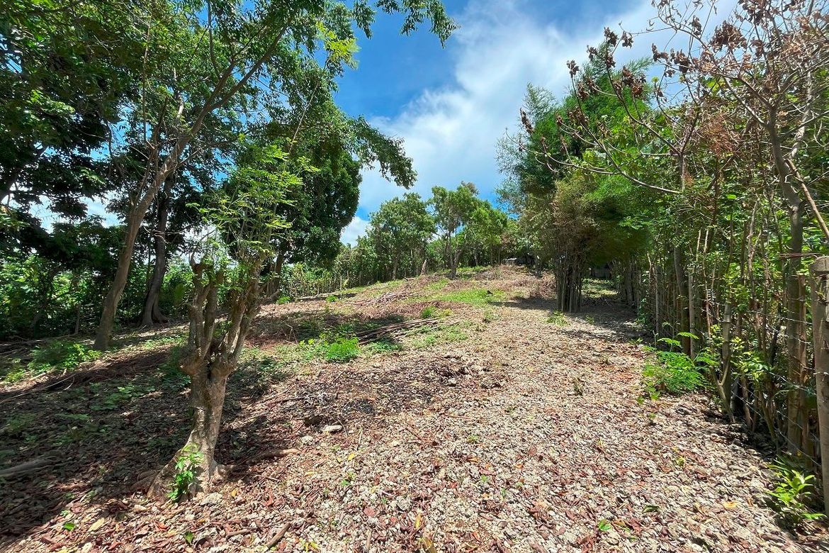 Land for Sale in Manoc-Manoc, Malay, Aklan – photo 4