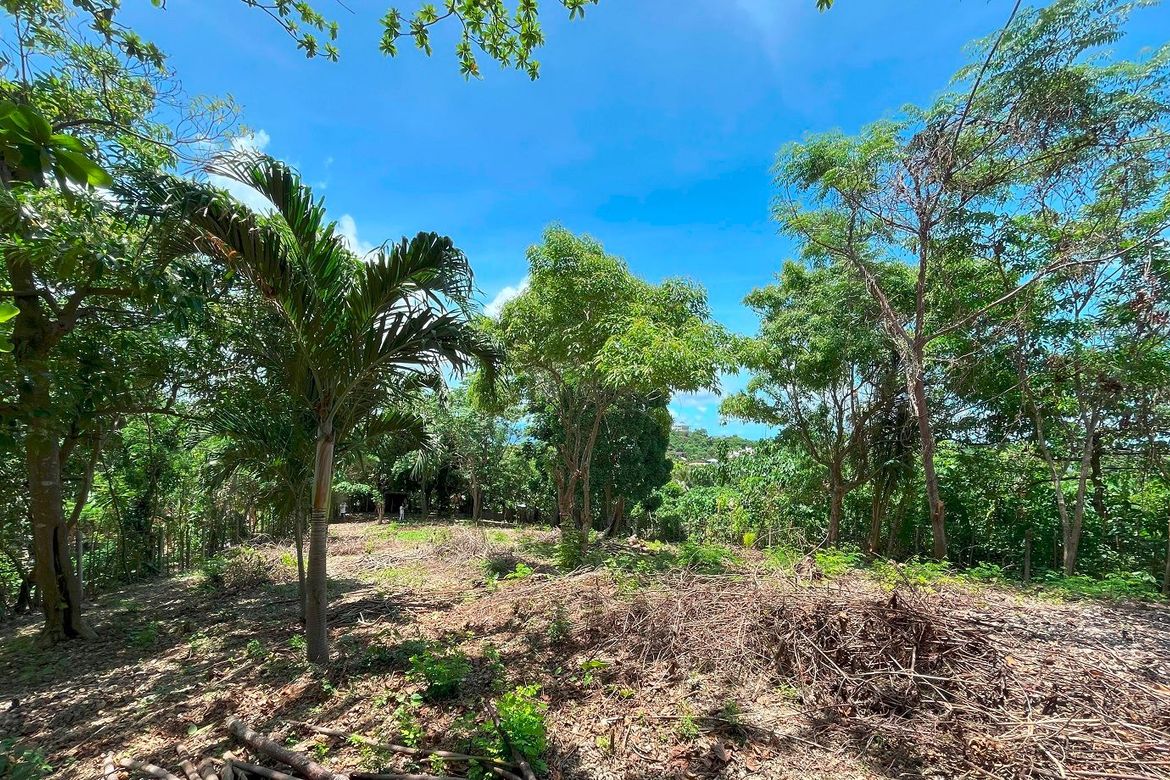Land for Sale in Manoc-Manoc, Malay, Aklan – photo 6