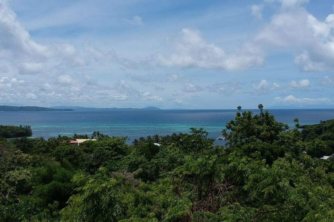 Land for Sale in Manoc-Manoc, Malay, Aklan – photo 8