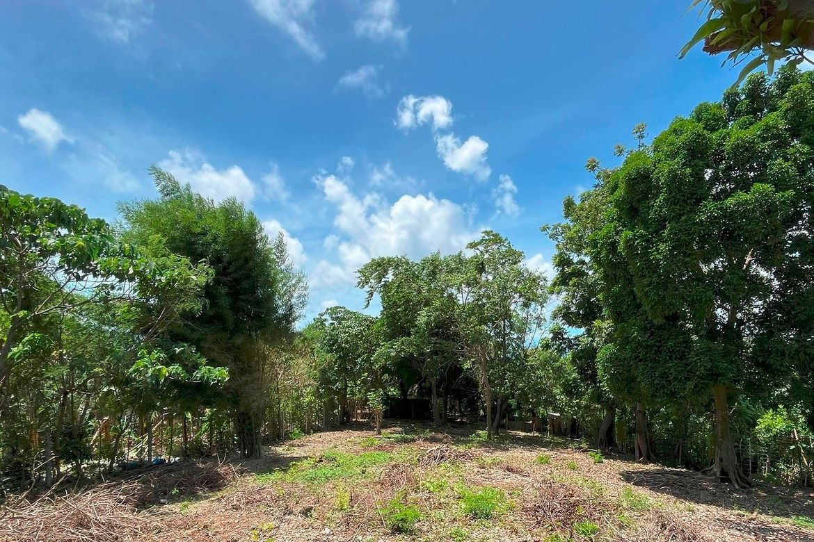 Land for Sale in Manoc-Manoc, Malay, Aklan – photo 4