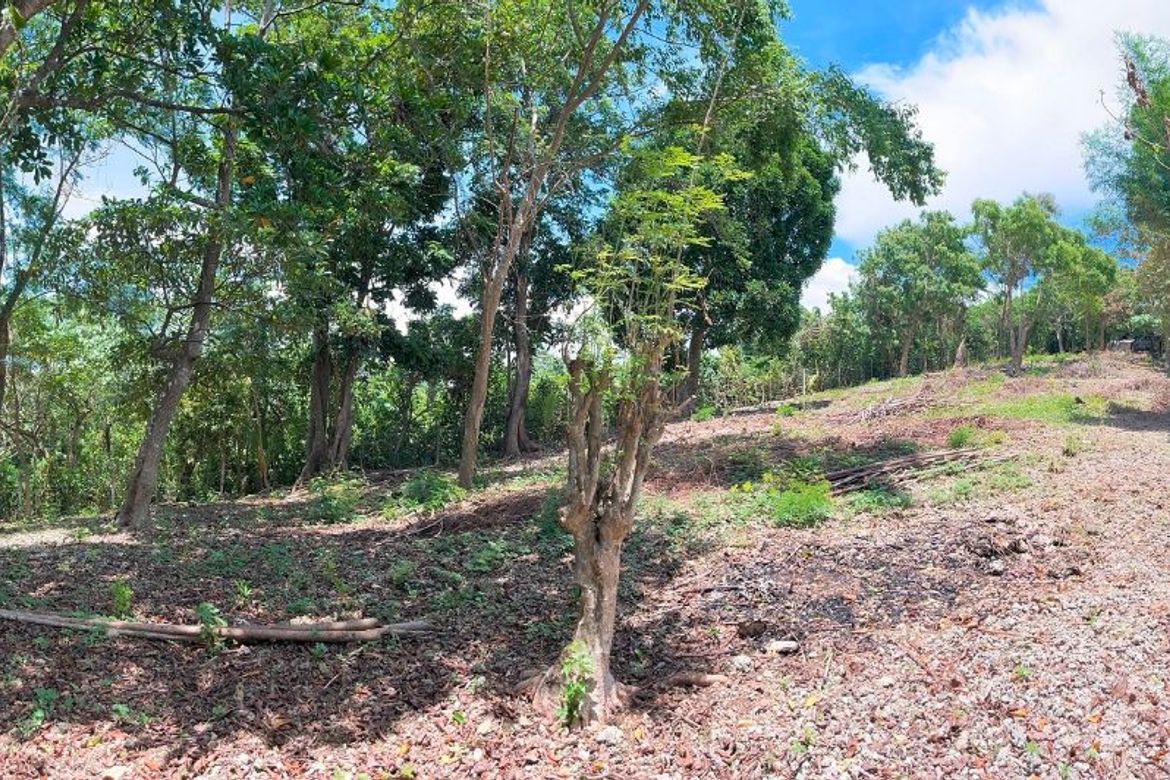 Land for Sale in Manoc-Manoc, Malay, Aklan – photo 6