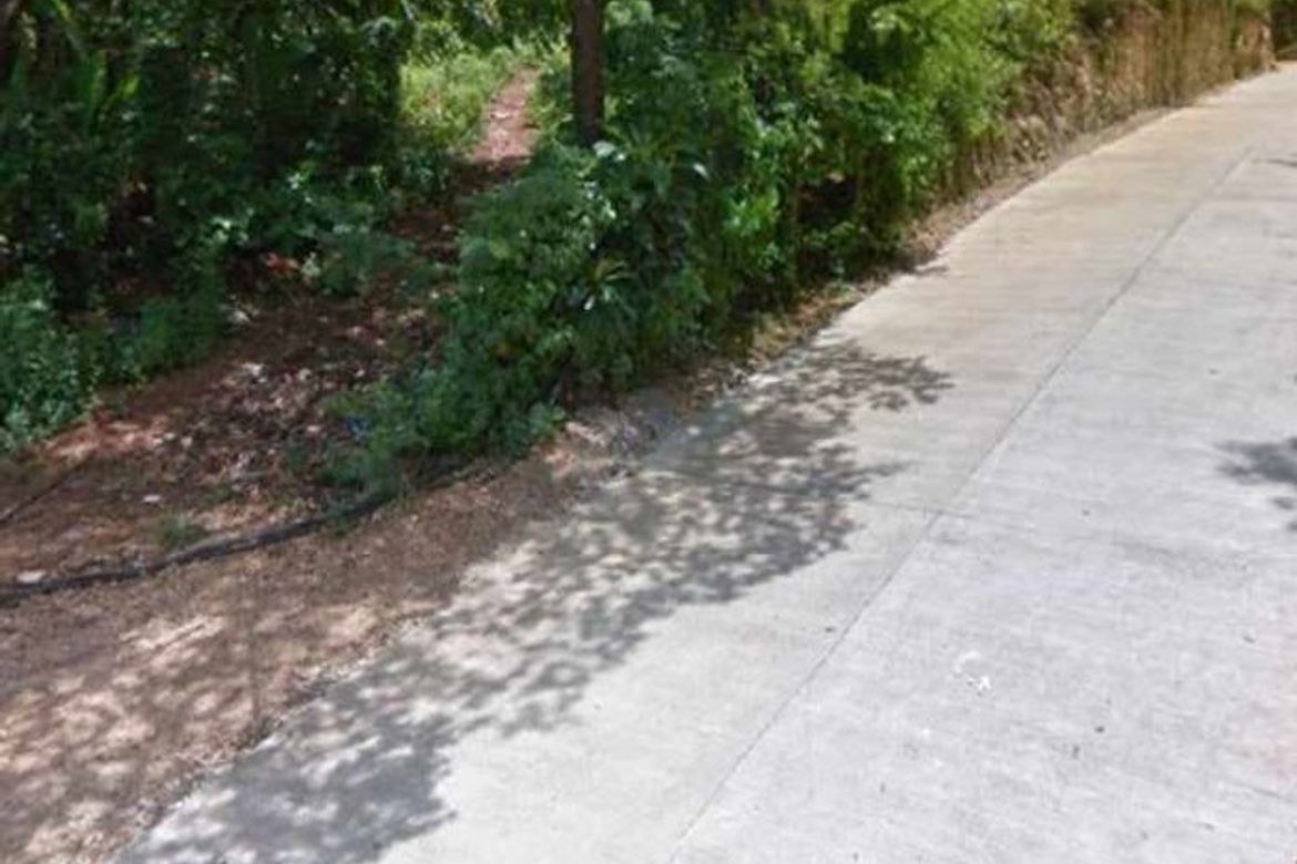 Land for Sale in Manoc-Manoc, Malay, Aklan – photo 2