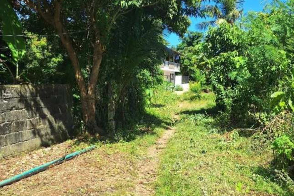 Land for Sale in Manoc-Manoc, Malay, Aklan