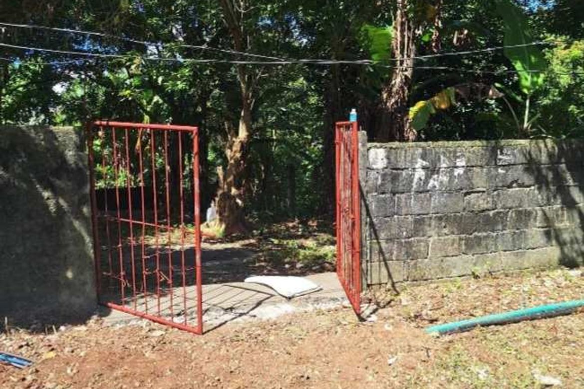 Land for Sale in Manoc-Manoc, Malay, Aklan – photo 2