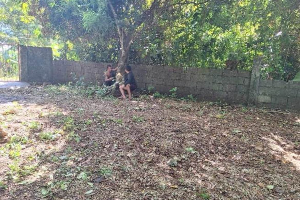 Land for Sale in Manoc-Manoc, Malay, Aklan – photo 3
