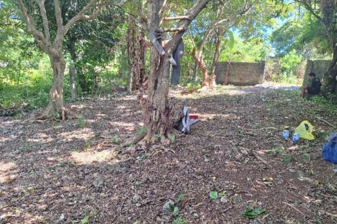 Land for Sale in Manoc-Manoc, Malay, Aklan – photo 4
