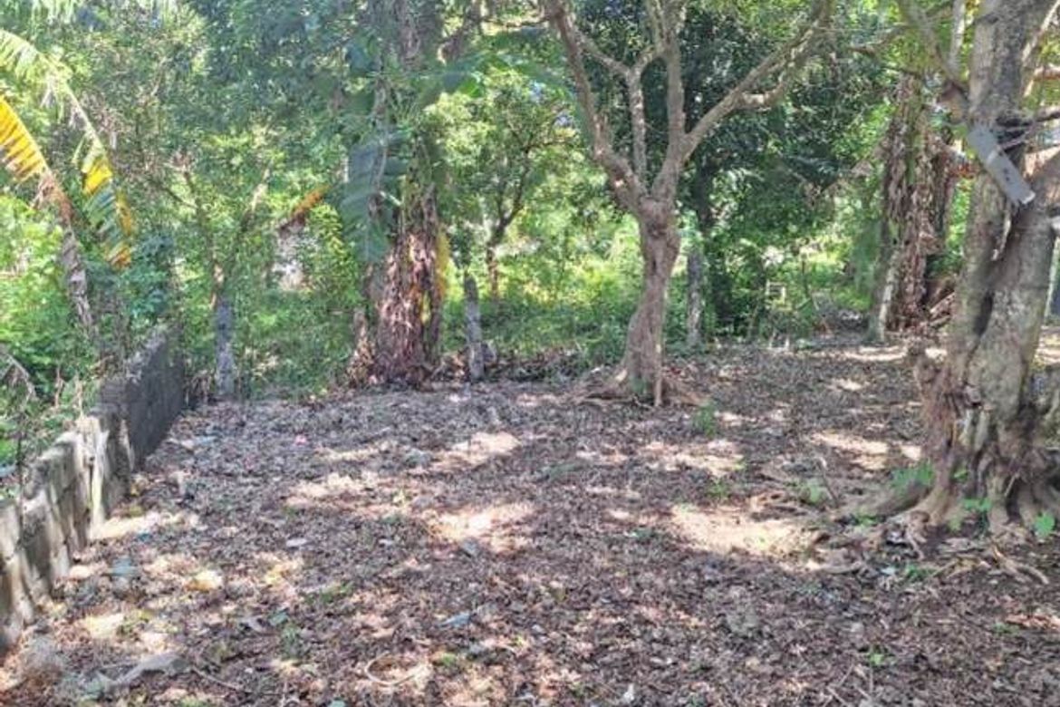 Land for Sale in Manoc-Manoc, Malay, Aklan – photo 5