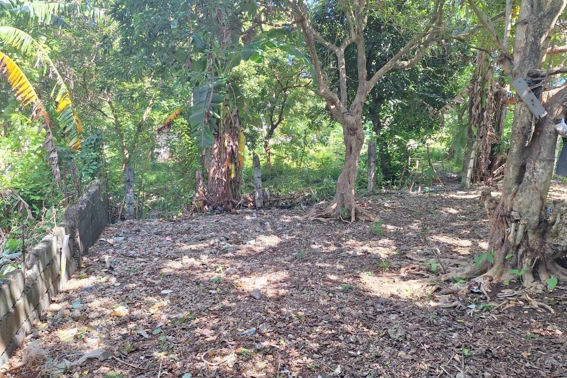 Land for Sale in Manoc-Manoc, Malay, Aklan – photo 7