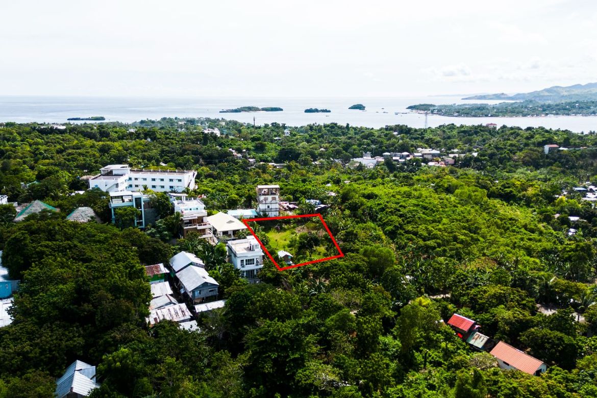 Land for Sale in Manoc-Manoc, Malay, Aklan – photo 3