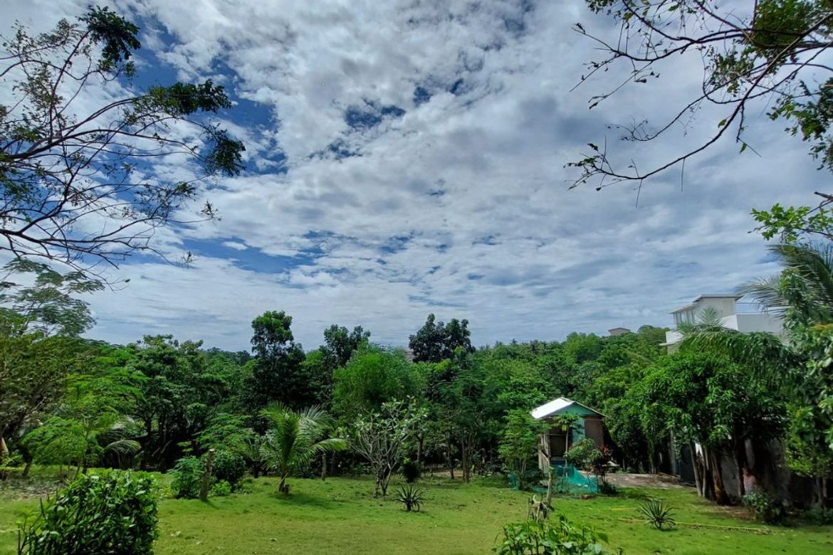 Land for Sale in Manoc-Manoc, Malay, Aklan – photo 4