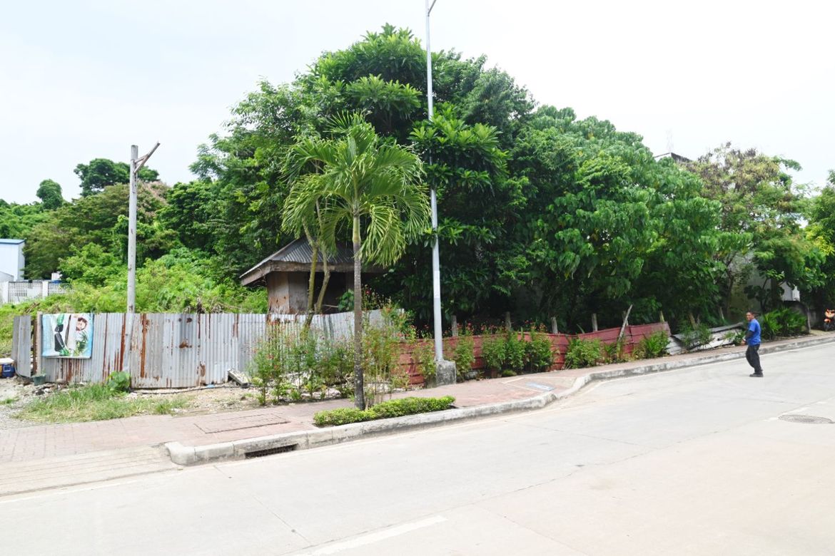 Land for Sale in Manoc-Manoc, Malay, Aklan – photo 2