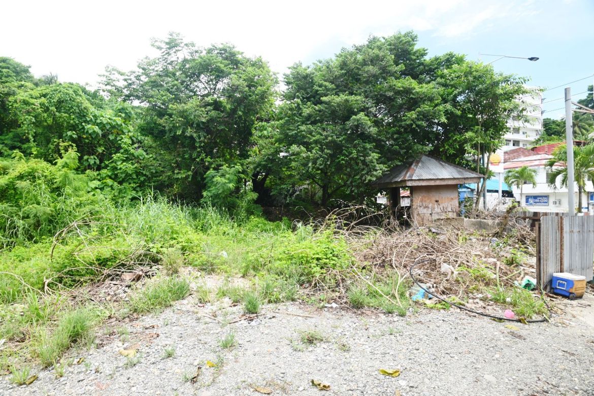 Land for Sale in Manoc-Manoc, Malay, Aklan – photo 3