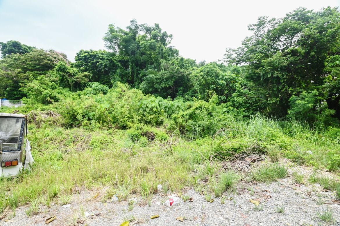 Land for Sale in Manoc-Manoc, Malay, Aklan – photo 4