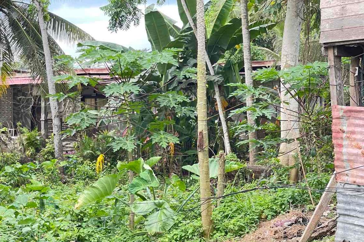 Land for Sale in Mansasa, Tagbilaran, Bohol – photo 2