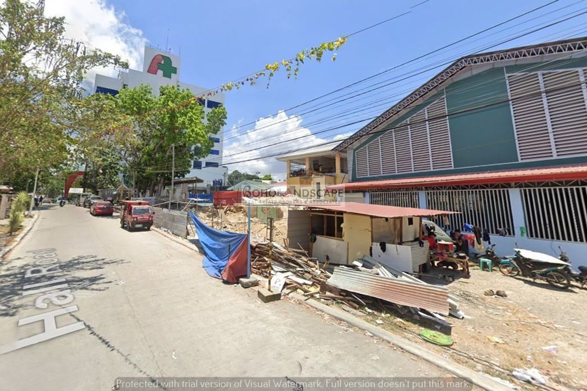 Land for Sale in Mansasa, Tagbilaran, Bohol – photo 6