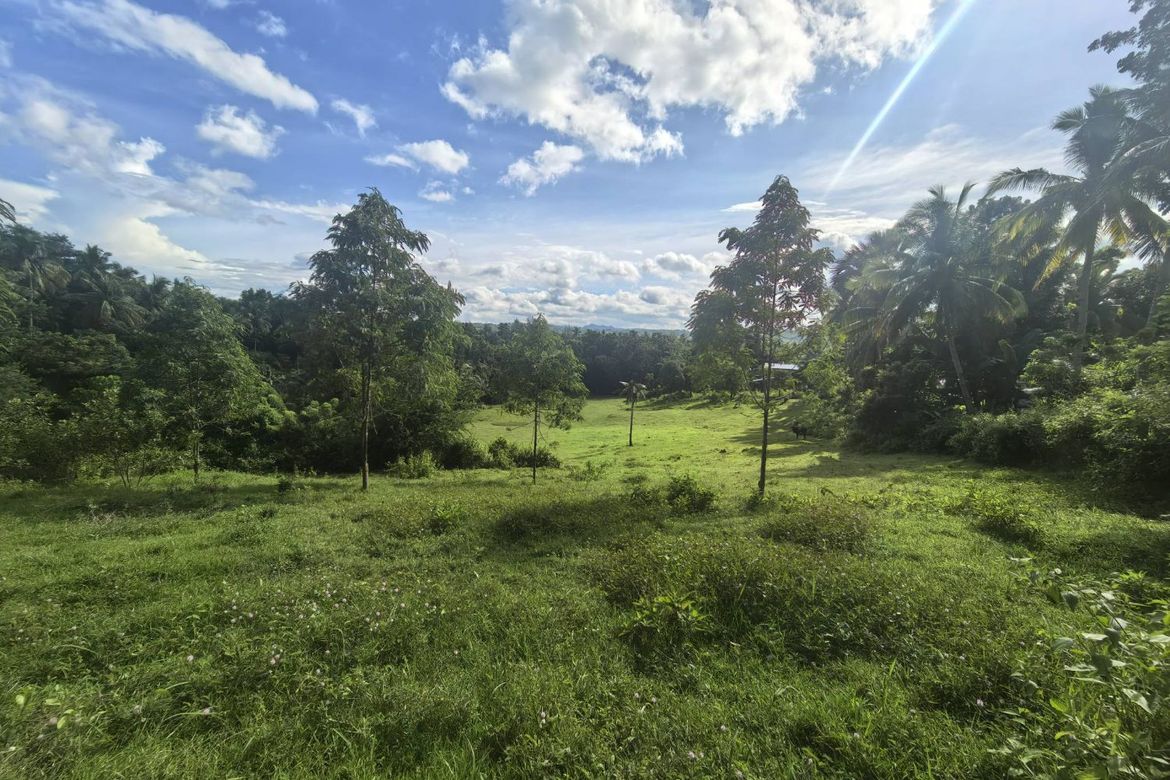 Land for Sale in Mantalongon, Barili, Cebu – photo 3