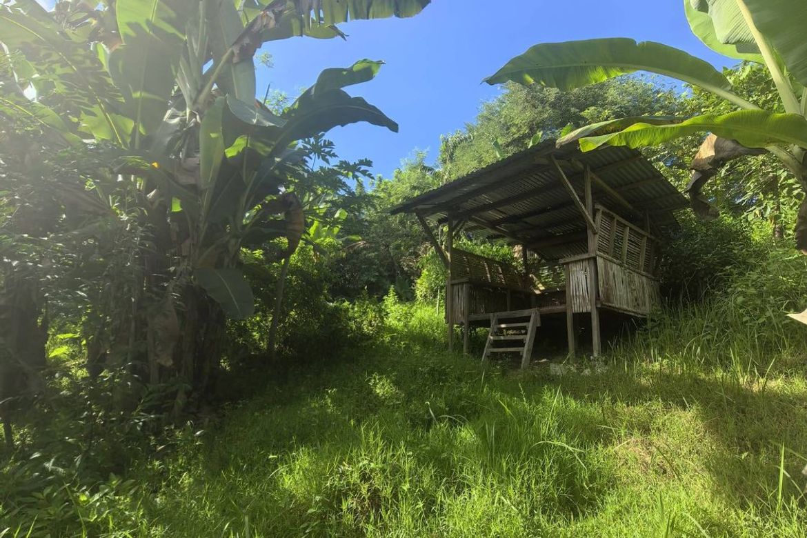 Land for Sale in Mantalongon, Barili, Cebu – photo 5