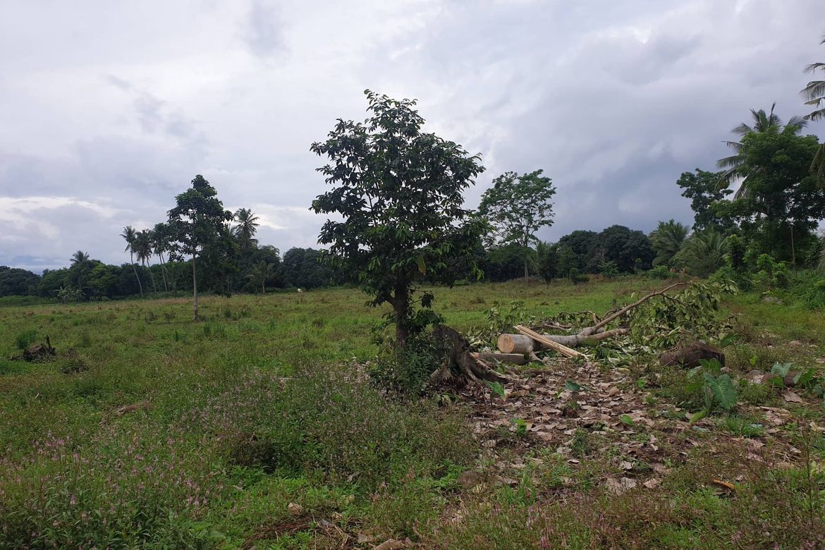 Land for Sale in Mantibugao, Manolo Fortich, Bukidnon – photo 3