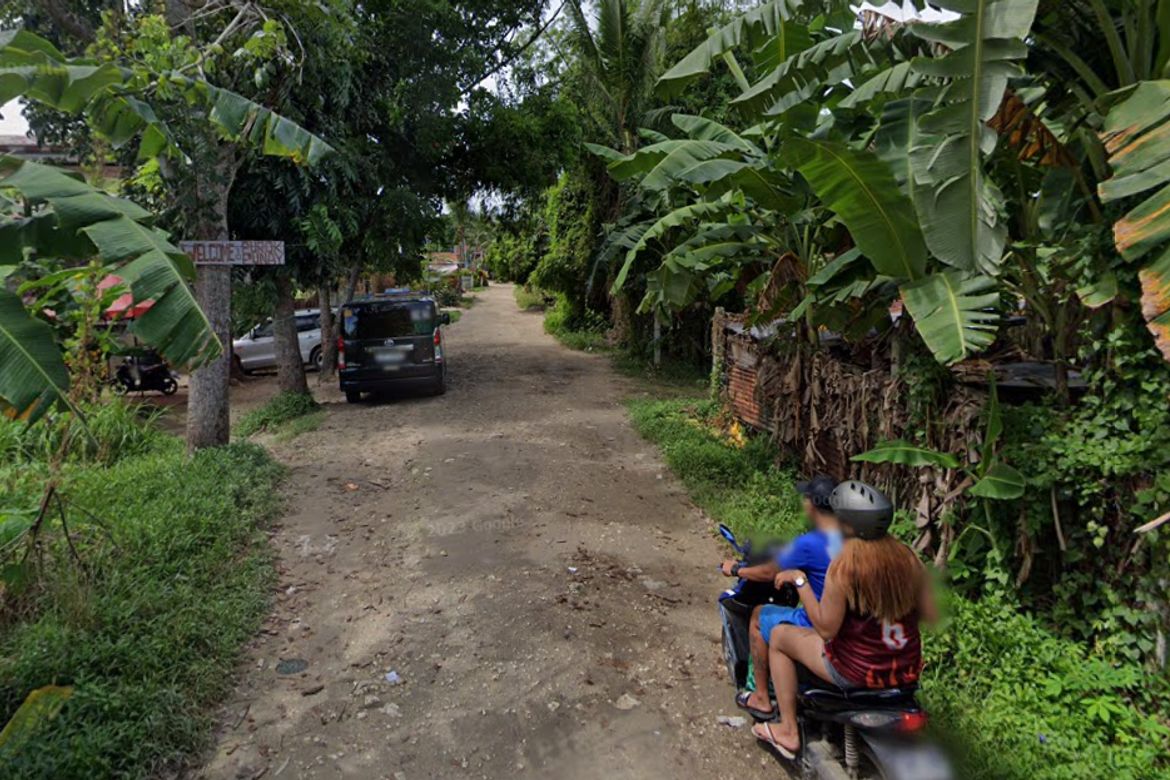 Land for Sale in Mantija, Danao, Cebu – photo 2
