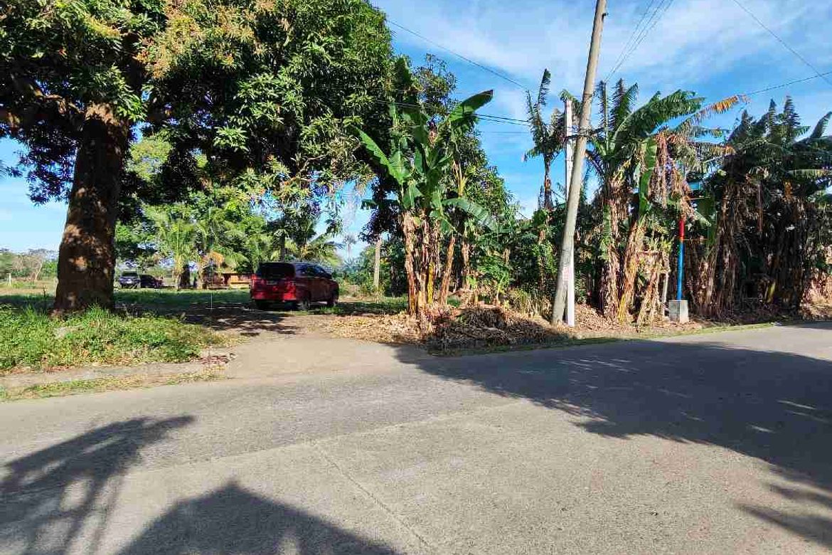 Land for Sale in Manuel Del Valle, Sr., San Antonio, Quezon – photo 3