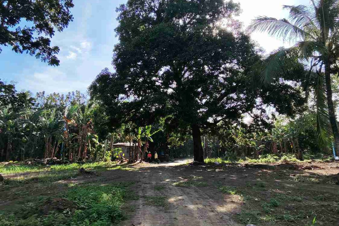Land for Sale in Manuel Del Valle, Sr., San Antonio, Quezon – photo 5