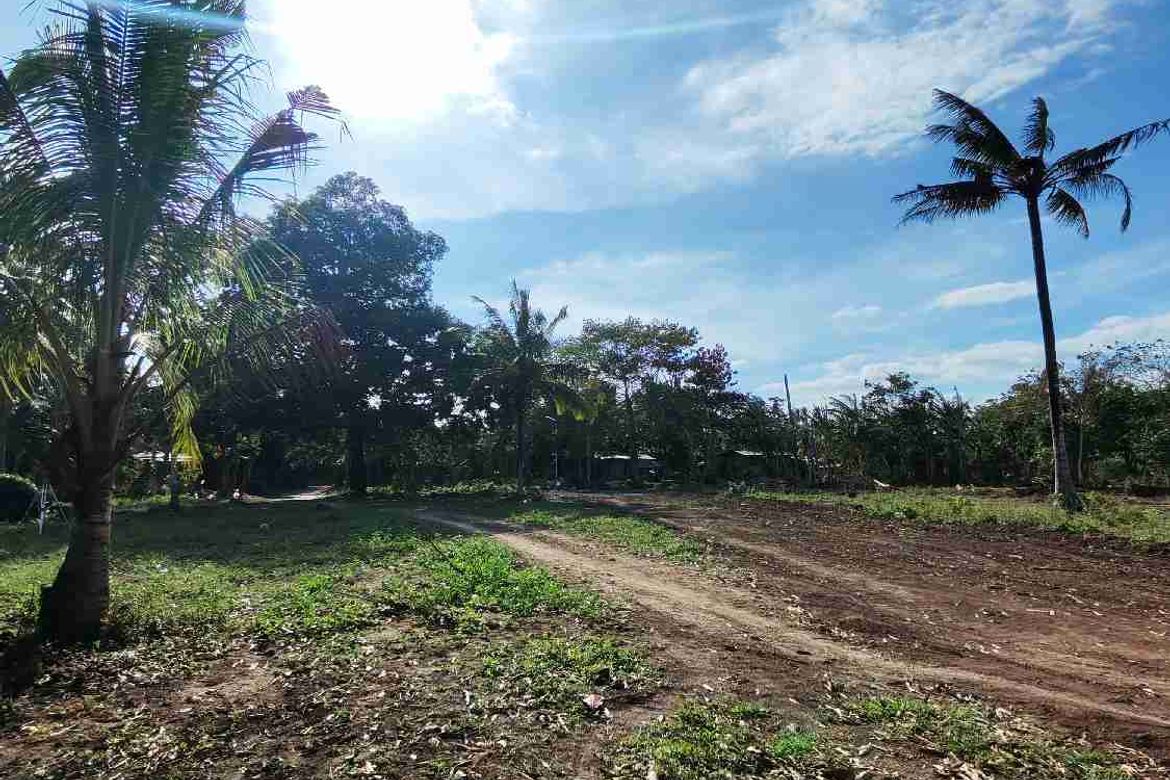 Land for Sale in Manuel Del Valle, Sr., San Antonio, Quezon – photo 7