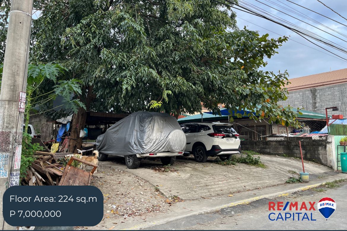 Land for Sale in Manuyo Dos, Las Piñas, Metro Manila – photo 3