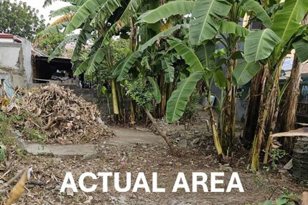 Land for Sale in Manuyo Dos, Las Piñas, Metro Manila